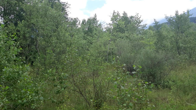 video terrain 2